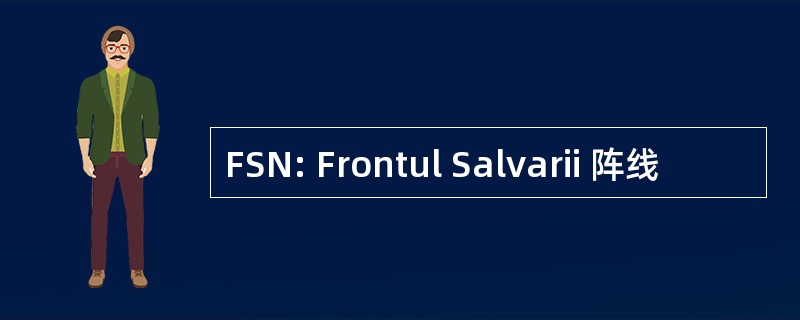 FSN: Frontul Salvarii 阵线