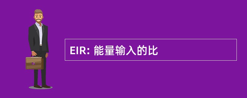 EIR: 能量输入的比