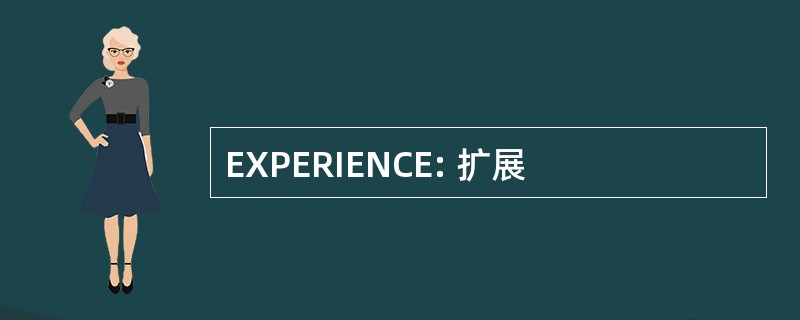 EXPERIENCE: 扩展