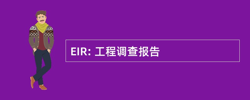 EIR: 工程调查报告