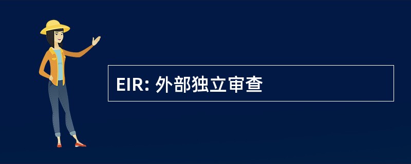 EIR: 外部独立审查