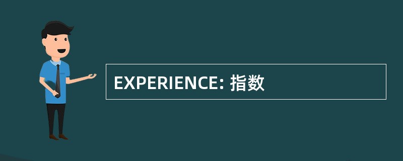 EXPERIENCE: 指数