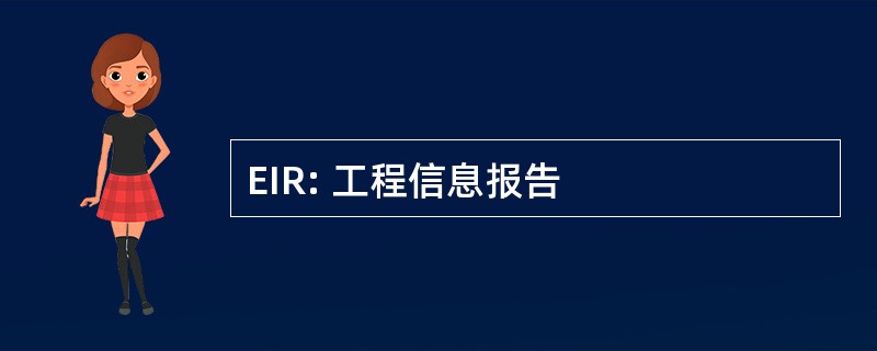 EIR: 工程信息报告