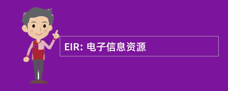 EIR: 电子信息资源