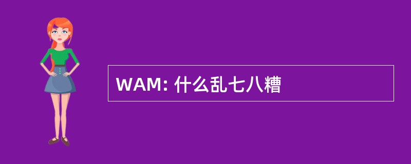 WAM: 什么乱七八糟