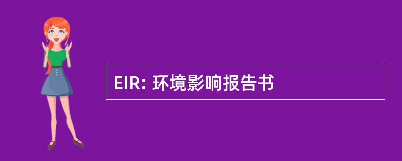 EIR: 环境影响报告书