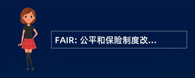 FAIR: 公平和保险制度改革的问责制