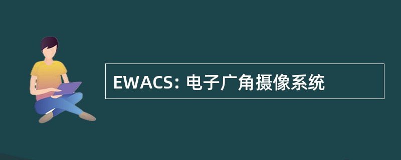 EWACS: 电子广角摄像系统