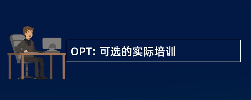 OPT: 可选的实际培训