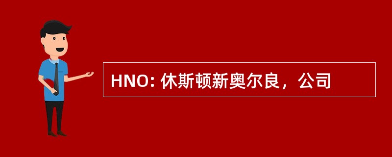 HNO: 休斯顿新奥尔良，公司