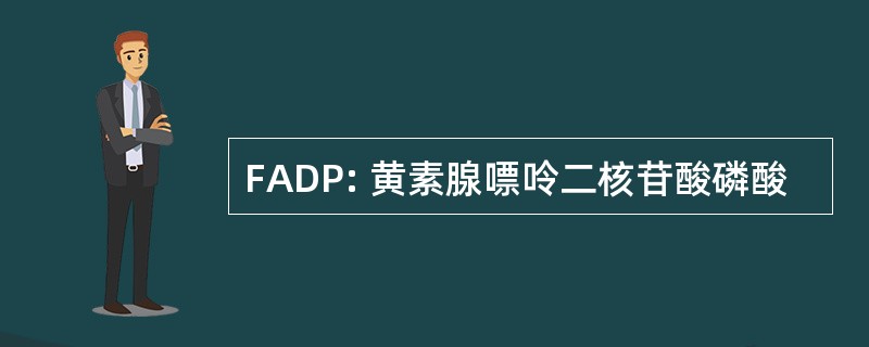 FADP: 黄素腺嘌呤二核苷酸磷酸