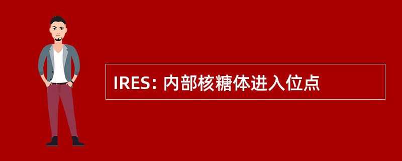 IRES: 内部核糖体进入位点