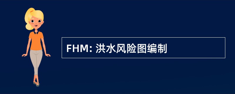 FHM: 洪水风险图编制