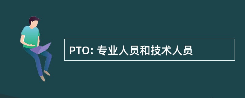 PTO: 专业人员和技术人员