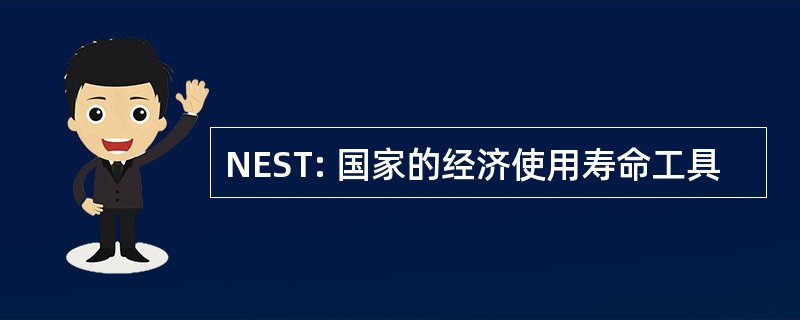 NEST: 国家的经济使用寿命工具