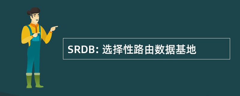 SRDB: 选择性路由数据基地