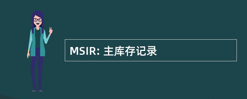 MSIR: 主库存记录