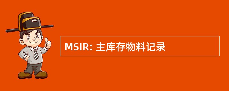 MSIR: 主库存物料记录