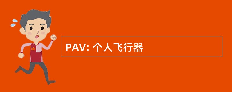 PAV: 个人飞行器