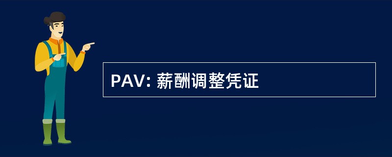 PAV: 薪酬调整凭证