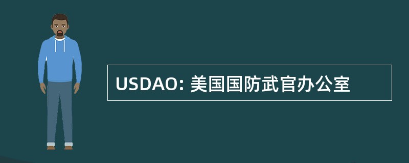 USDAO: 美国国防武官办公室