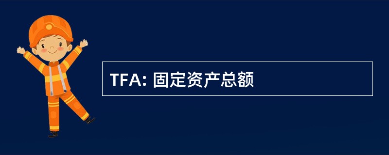 TFA: 固定资产总额