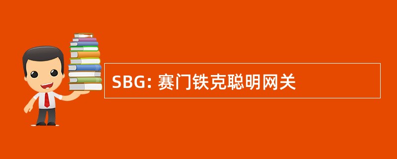 SBG: 赛门铁克聪明网关