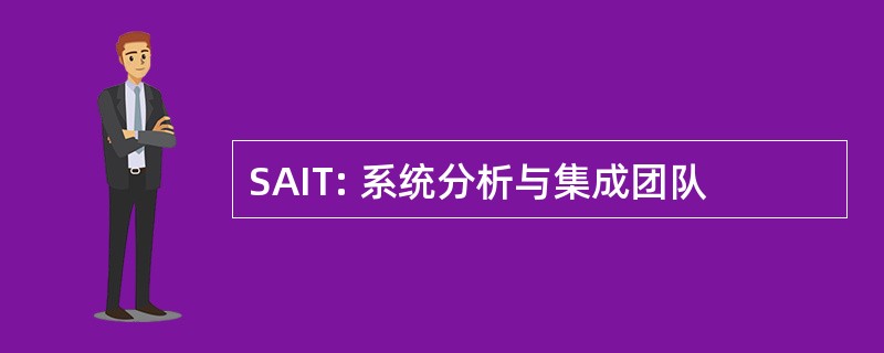 SAIT: 系统分析与集成团队