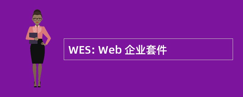 WES: Web 企业套件