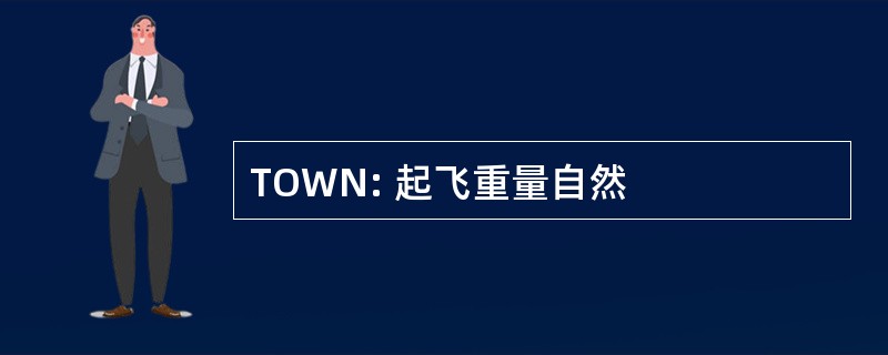 TOWN: 起飞重量自然