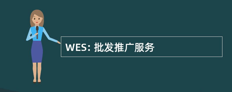 WES: 批发推广服务