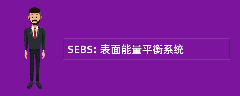 SEBS: 表面能量平衡系统