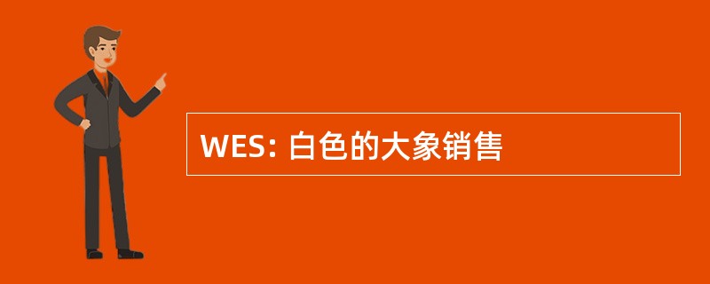 WES: 白色的大象销售