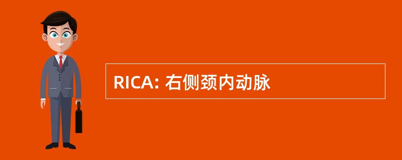 RICA: 右侧颈内动脉