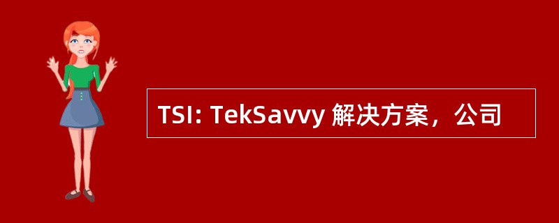 TSI: TekSavvy 解决方案，公司