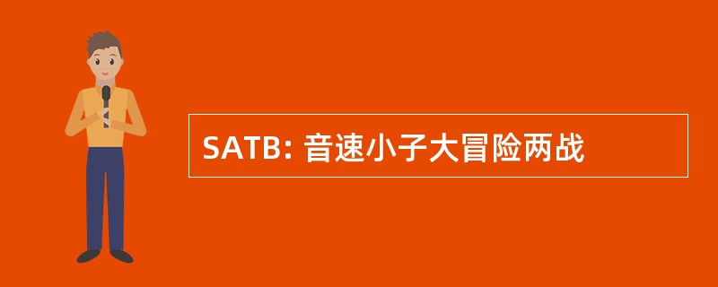 SATB: 音速小子大冒险两战