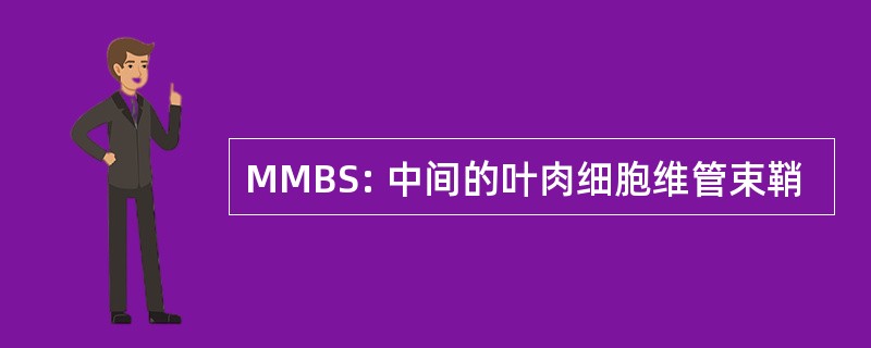 MMBS: 中间的叶肉细胞维管束鞘