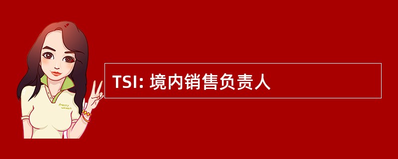 TSI: 境内销售负责人