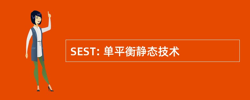 SEST: 单平衡静态技术