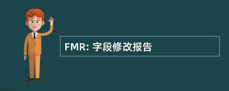 FMR: 字段修改报告