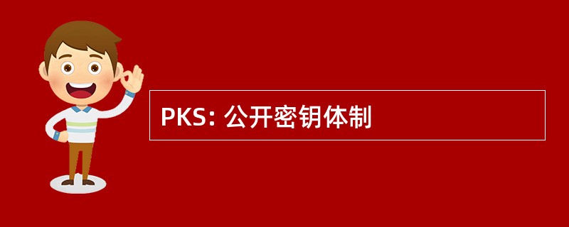 PKS: 公开密钥体制