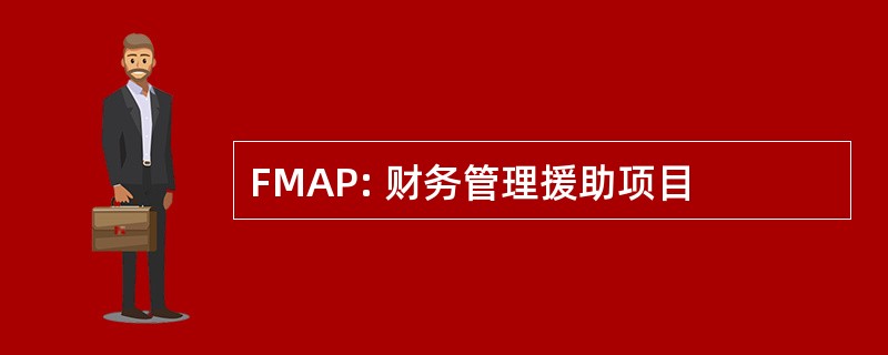 FMAP: 财务管理援助项目