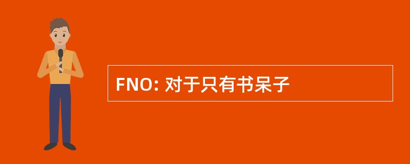 FNO: 对于只有书呆子