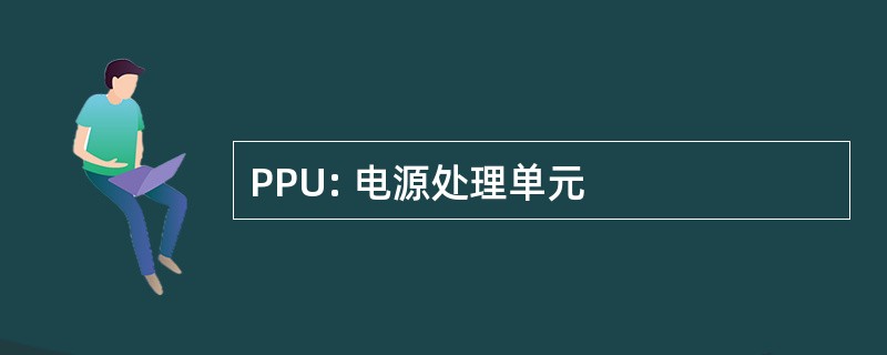 PPU: 电源处理单元