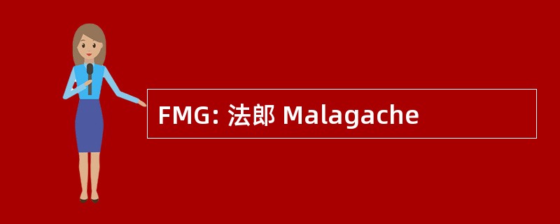 FMG: 法郎 Malagache