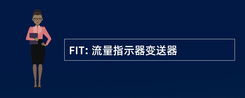 FIT: 流量指示器变送器