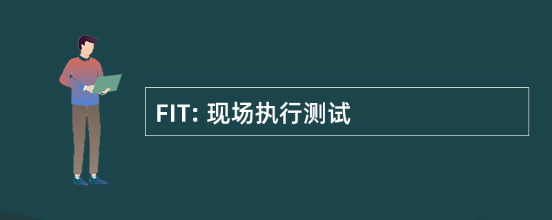 FIT: 现场执行测试