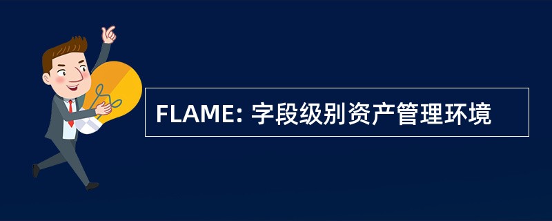 FLAME: 字段级别资产管理环境