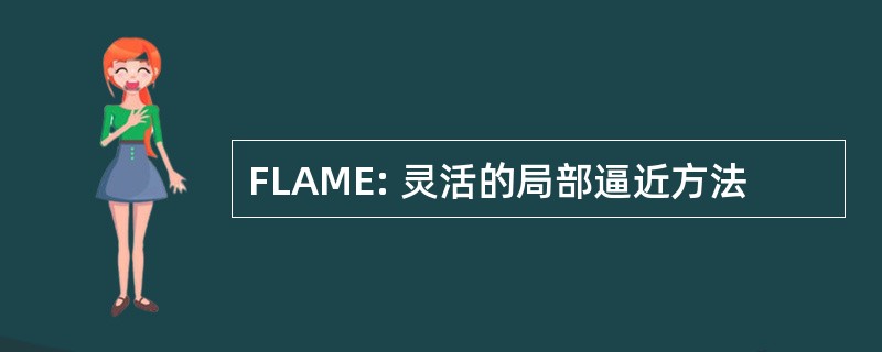 FLAME: 灵活的局部逼近方法