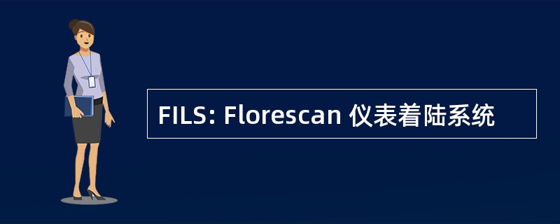 FILS: Florescan 仪表着陆系统